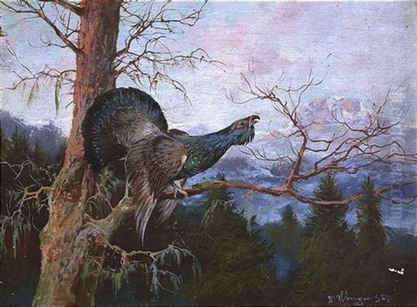 Balzender Auerhahn - view 1