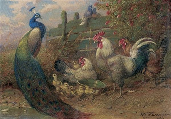 Huhnerhof Mit Einem Pfau - view 1