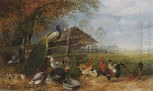 Federvieh Mit Pfau Am Ufer Eines Tumpels. Im Hintergrund Ein Chalet In Wiesenlandschaft