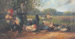 Hahn, Huhner Und Enten