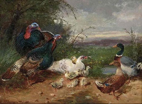 Ducks And Wildfowl By A Stream - view 1