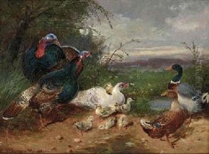 Ducks And Wildfowl By A Stream