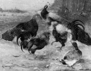 Kampfende Hahne Im Hof Zwischen Pfau, Truthahn Und Erpel
