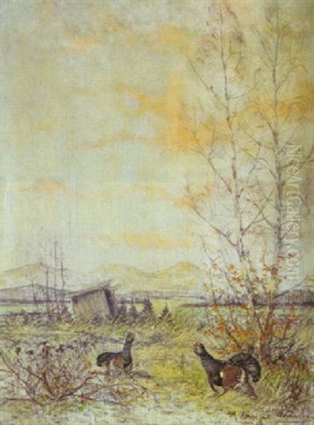 Balzende Birkhahne Auf Einer Wiese In Voralpenlandschaft - view 1