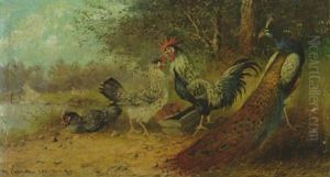 Pfau, Hahn Und Huhner Am Futtertrog Am Seeufer by Max Josef Haenger Sr.