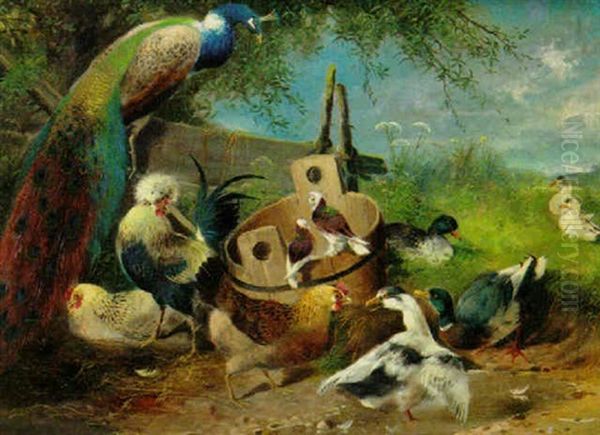 A Peacock With Hens, Ducks And Geese - view 1
