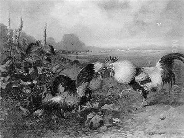 Zwei Kampfhahne Vor Wiesenlandschaft - view 1
