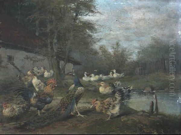 Huhner - Und Entenfamilie An Einem Kleinen Weiher - view 1