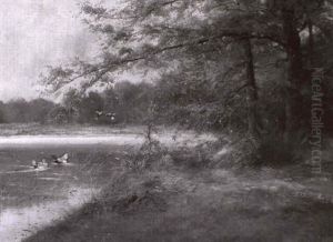 Herbst Am Stillen Waldweiher, Vorn Enten Herbst Am Stillen Waldweiher, Vorn Enten