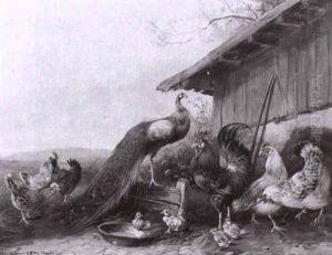 Hahn, Huhner, Kuken Und Pfau Vor Dem Stallgebaude