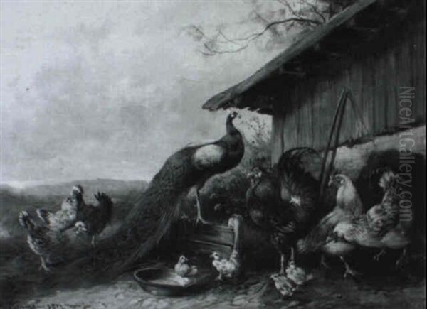 Huhnerhof Mit Pfau - view 1