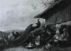 Huhnerhof Mit Pfau by Max Josef Haenger Sr.