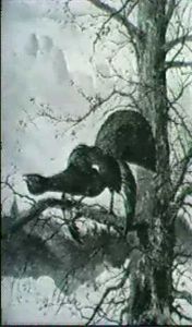Balzender Auerhahn Auf Einem Baum Im Gebirge by Max Josef Haenger Sr.