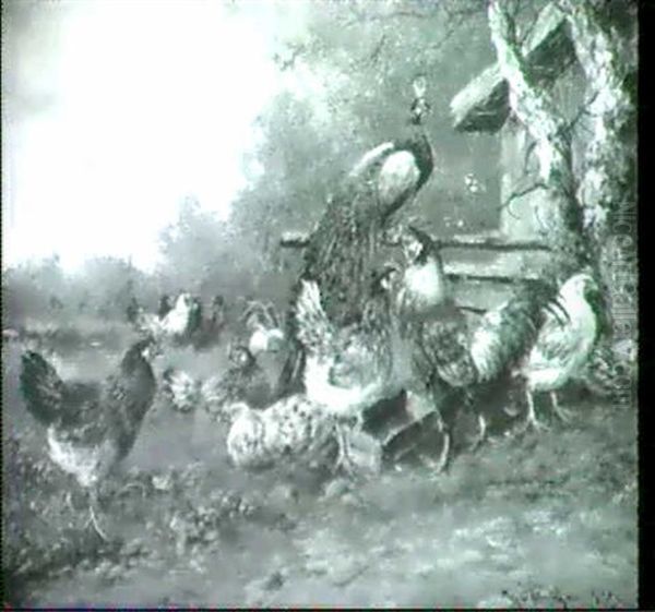 Hahn, Huhner Und Pfau - view 1