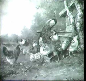 Hahn, Huhner Und Pfau by Max Josef Haenger Sr.