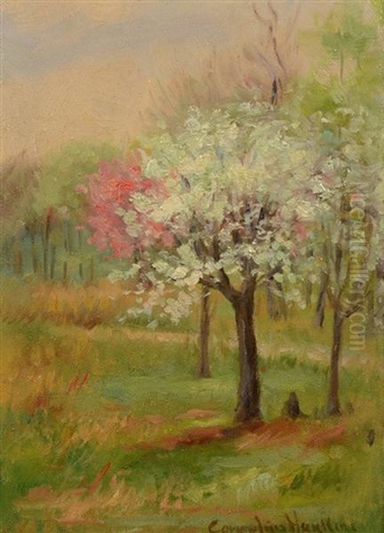 Spring Landscape - view 1