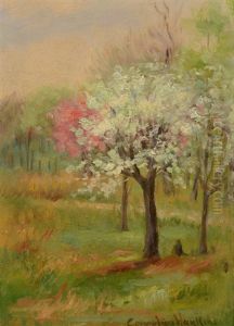 Spring Landscape Spring Landscape