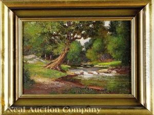 Cumberland Plateau, Tennessee by Cornelius H. Hankins