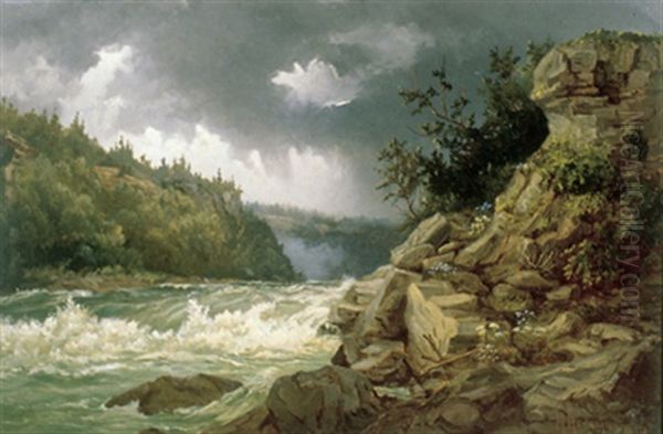 Rapids - view 1