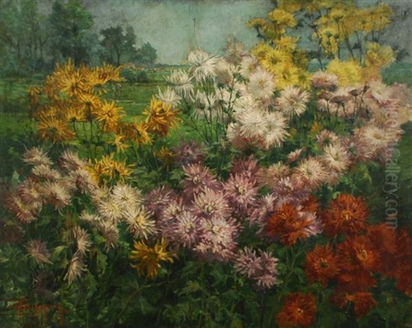 Les Chrysanthemes - view 1