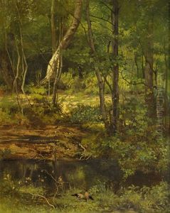 Source Dans Le Sous-bois