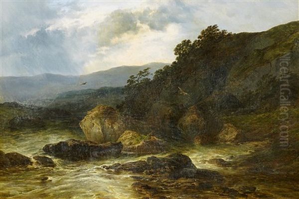 Wildwasser In Den Vogesen - view 1