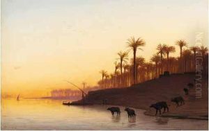 Evening On The Nile