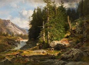 A Forest In The High Mountains