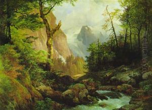 Rehwild Am Bachufer, Im Hintergrund Das Dachsteinmassiv Rehwild Am Bachufer, Im Hintergrund Das Dachsteinmassiv