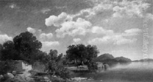 Uferlandschaft