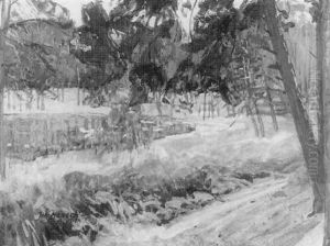 Teufelssee Im Grunewald