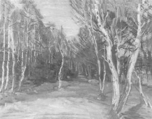Birkenwald by Johannes Haensch