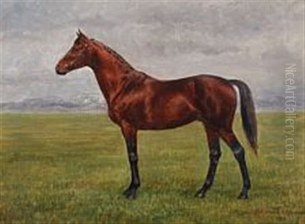 A Horse In A Field - view 1