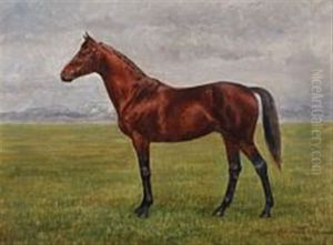 A Horse In A Field by Adolf Heinrich Claus Hansen