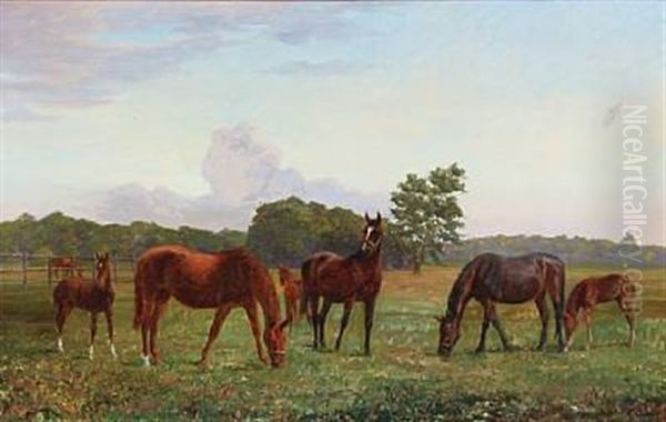 Grazing Horses - view 1