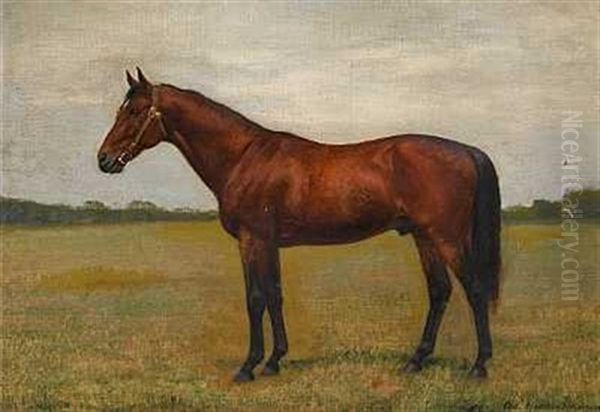 Hest Pa En Mark - view 1