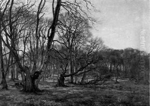 Landschaft Landschaft