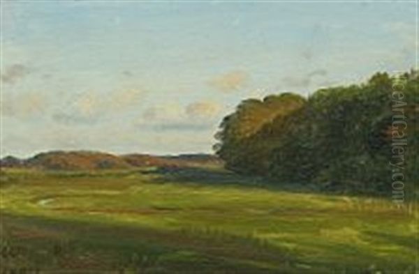 A Meadow With A Forest In The Middle Distance - view 1