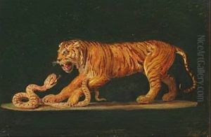 En Tiger I Kamp Med En Slange