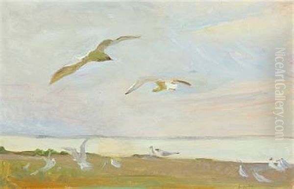 Coastal Scenery With Seagulls - view 1