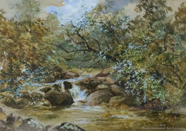 Bush & Stream - view 1