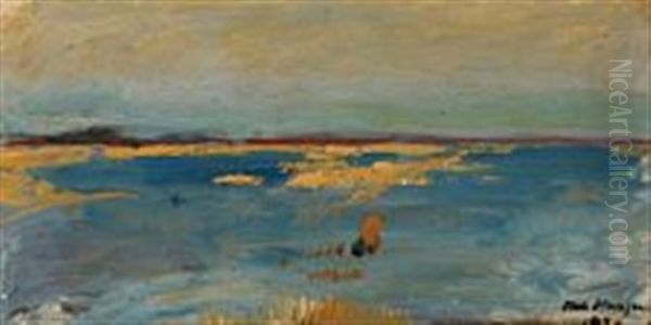 Coastalscape From The Danish Isle Tasinge - view 1