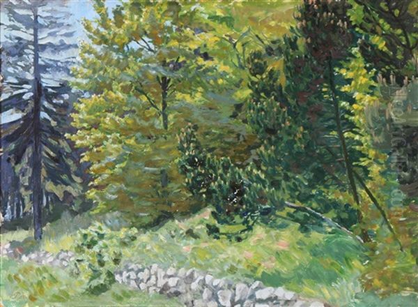 A Stone Fence On The Frings Of The Forest - view 1