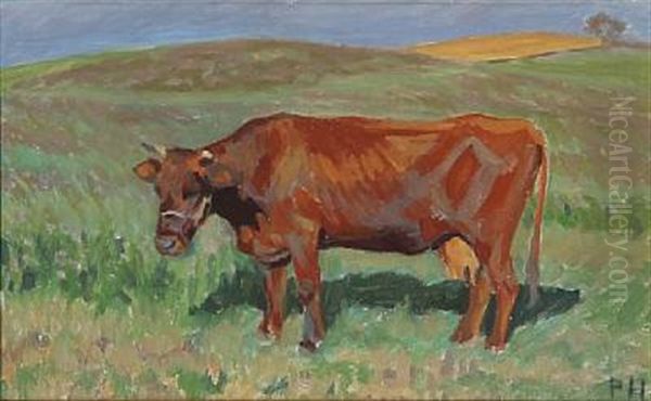 A Red Danish Cow - view 1