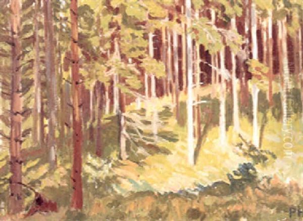 Partri Fra Geel Skov - view 1