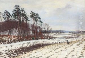 Winter Scenery From Rudersdal Winter Scenery From Rudersdal