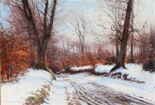 A Snow-covered Forest Lane - view 1