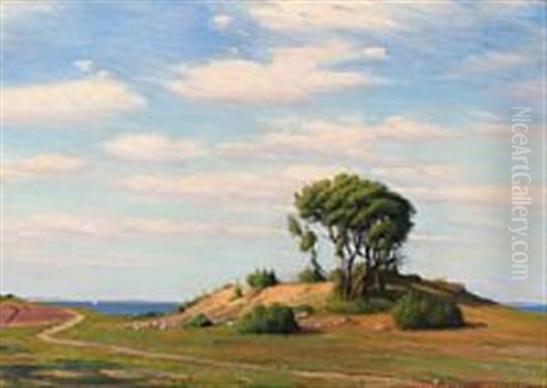 Summer Landscape From Moesgaard Near Aarhus - view 1