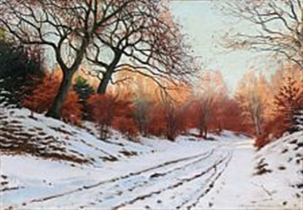 An Evening In The Forest A Winter Day - view 1