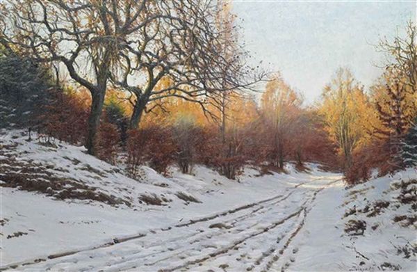 A Snow Covered Track In Winter - view 1